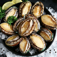Frozen Large Abalone
