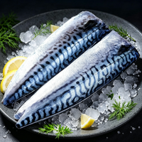 Fresh Mackerel Fish