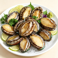 Frozen Large Abalone