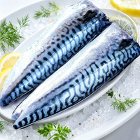 Fresh Mackerel Fish