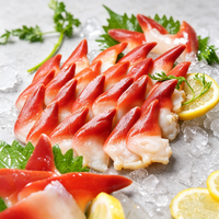 Canada Arctic Surf Clam Slices