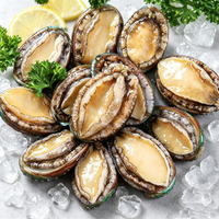 Frozen Large Abalone